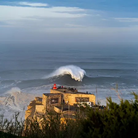 דירה Salty נאזרה