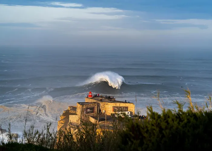 아파트 Salty 나자레